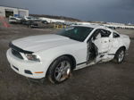 2011 Ford Mustang  White vin: 1ZVBP8AM1B5118789