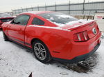 2011 Ford Mustang  Красный vin: 1ZVBP8AM1B5123104