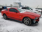 2011 Ford Mustang  Красный vin: 1ZVBP8AM1B5123104