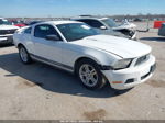 2011 Ford Mustang V6 White vin: 1ZVBP8AM1B5134037