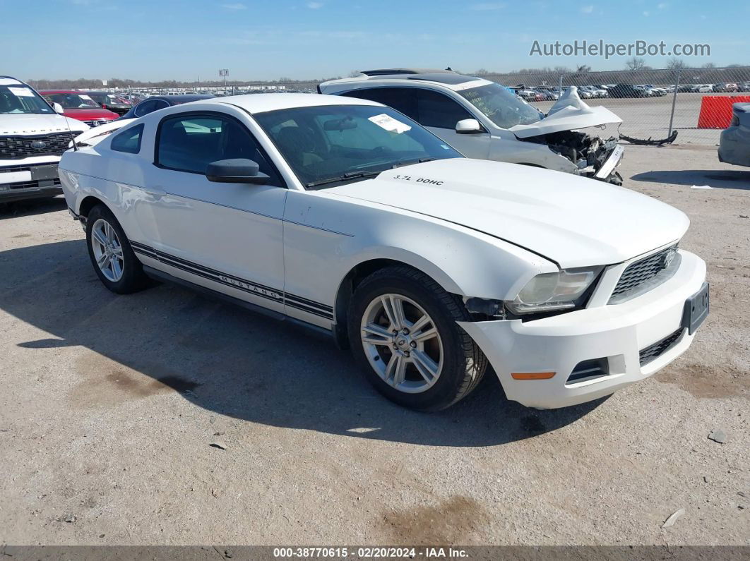 2011 Ford Mustang V6 White vin: 1ZVBP8AM1B5134037