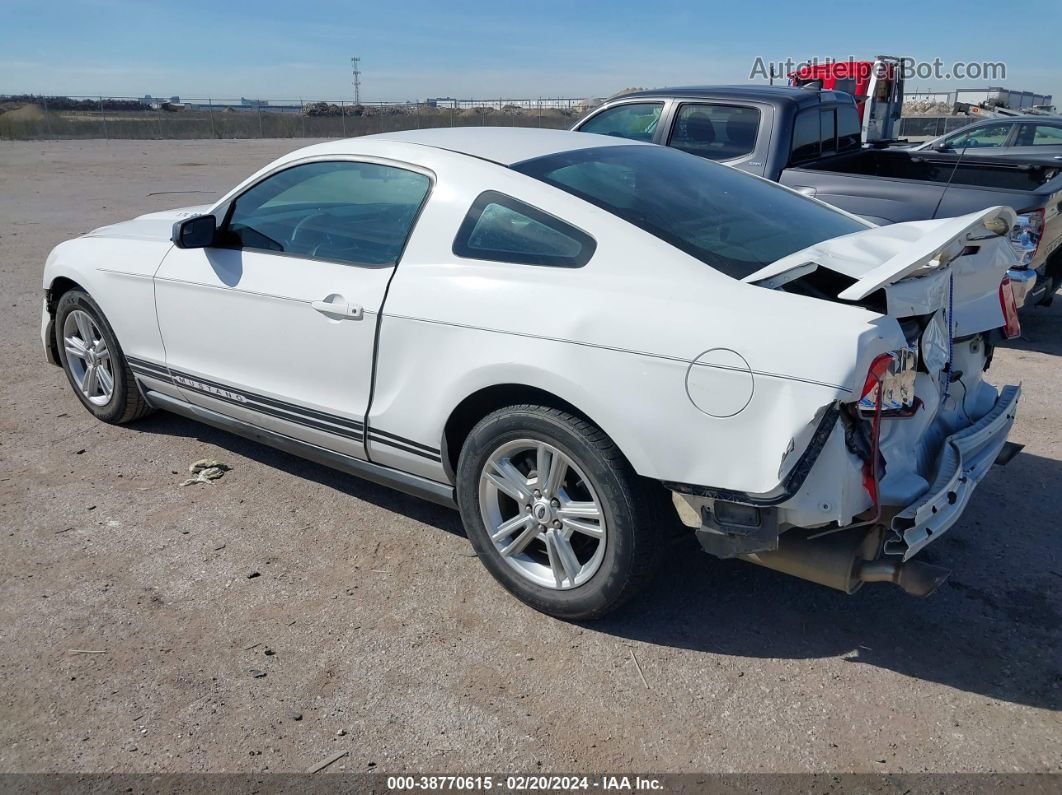 2011 Ford Mustang V6 White vin: 1ZVBP8AM1B5134037