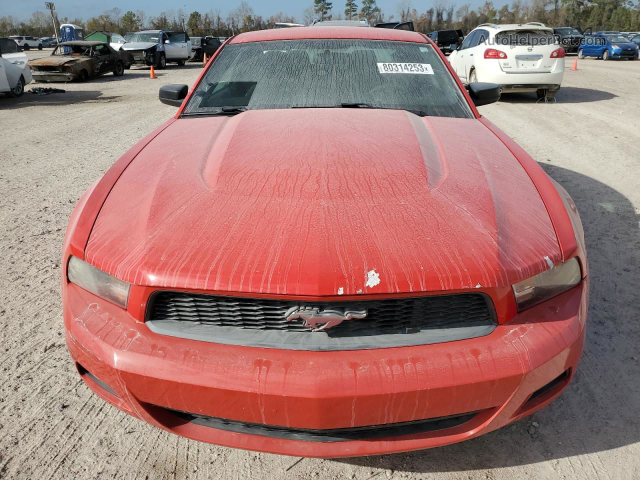 2011 Ford Mustang  Red vin: 1ZVBP8AM1B5134068