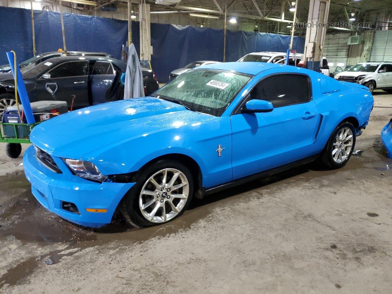 2011 Ford Mustang  Синий vin: 1ZVBP8AM1B5153459