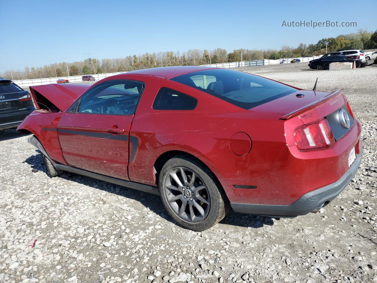 2011 Ford Mustang  Красный vin: 1ZVBP8AM1B5168205