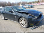 2011 Ford Mustang V6 Premium Black vin: 1ZVBP8AM2B5116128