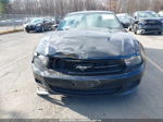 2011 Ford Mustang V6 Premium Black vin: 1ZVBP8AM2B5116128