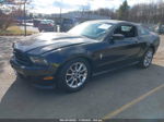 2011 Ford Mustang V6 Premium Black vin: 1ZVBP8AM2B5116128