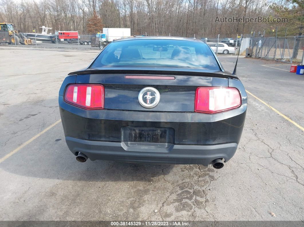 2011 Ford Mustang V6 Premium Black vin: 1ZVBP8AM2B5116128