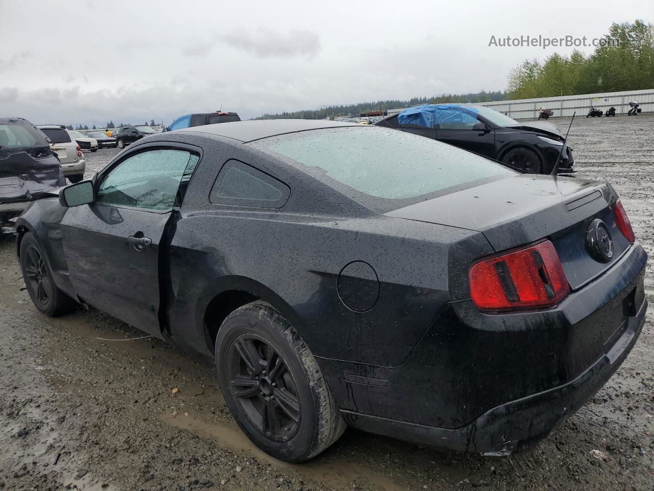 2011 Ford Mustang  Black vin: 1ZVBP8AM2B5117733