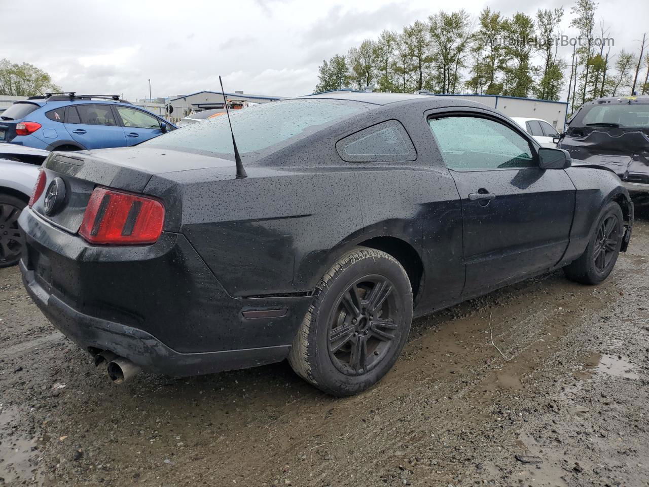 2011 Ford Mustang  Black vin: 1ZVBP8AM2B5117733