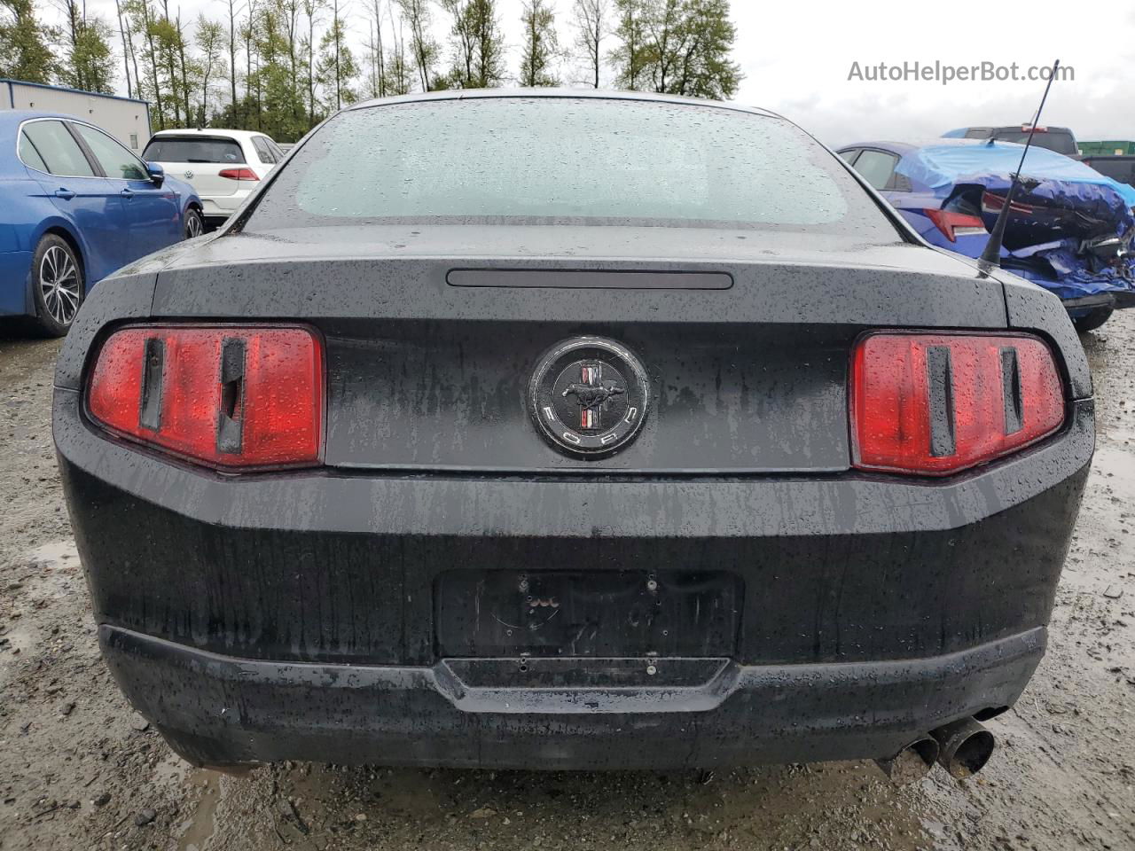 2011 Ford Mustang  Black vin: 1ZVBP8AM2B5117733