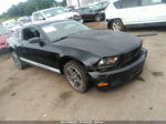 2011 Ford Mustang V6 Premium Black vin: 1ZVBP8AM2B5123838