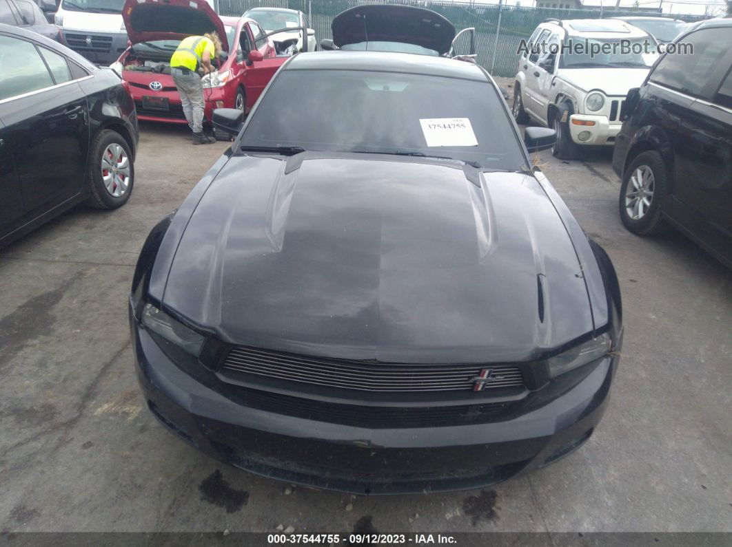 2011 Ford Mustang V6 Black vin: 1ZVBP8AM2B5143653