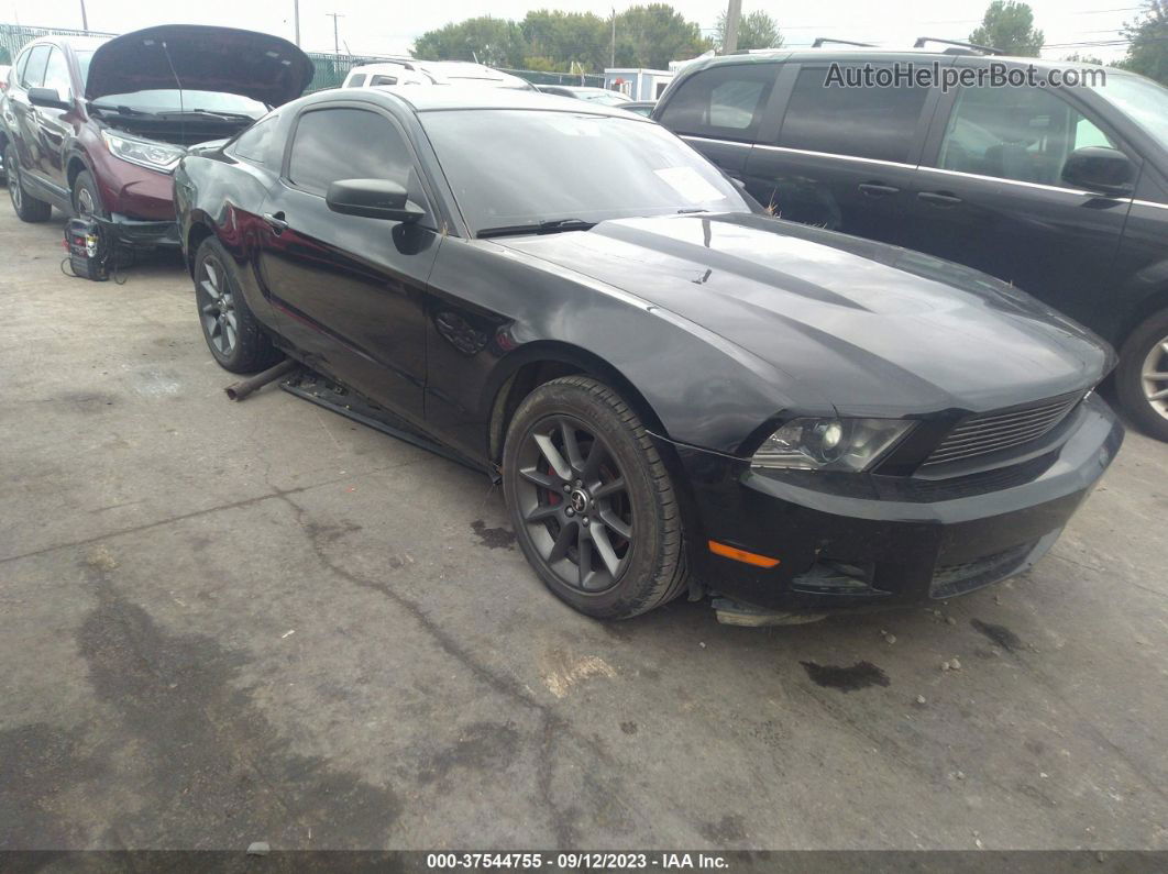 2011 Ford Mustang V6 Black vin: 1ZVBP8AM2B5143653