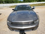 2011 Ford Mustang  Серый vin: 1ZVBP8AM2B5158248