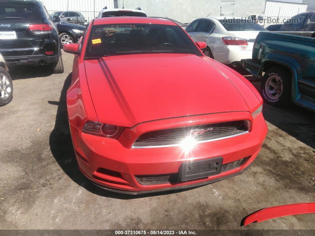 2014 Ford Mustang V6 Premium Red vin: 1ZVBP8AM2E5232305