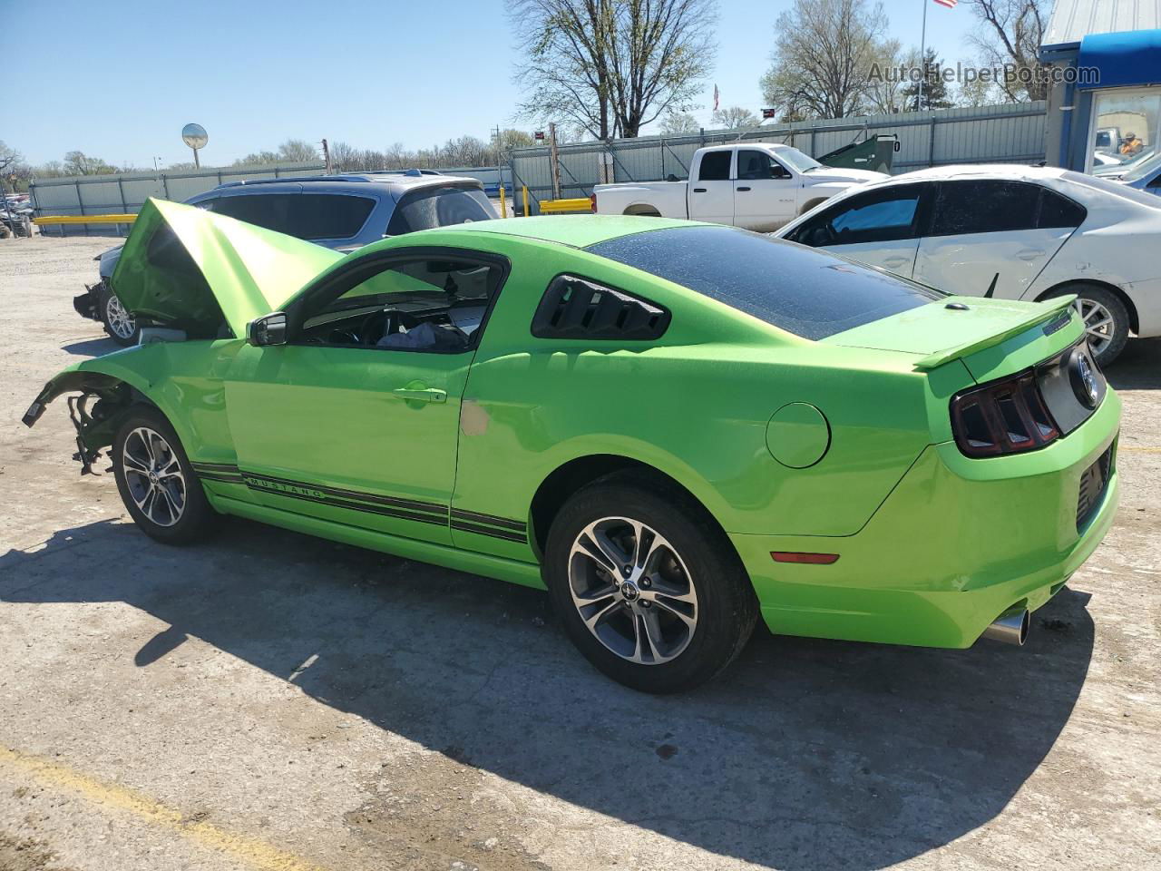 2014 Ford Mustang  Green vin: 1ZVBP8AM2E5236435