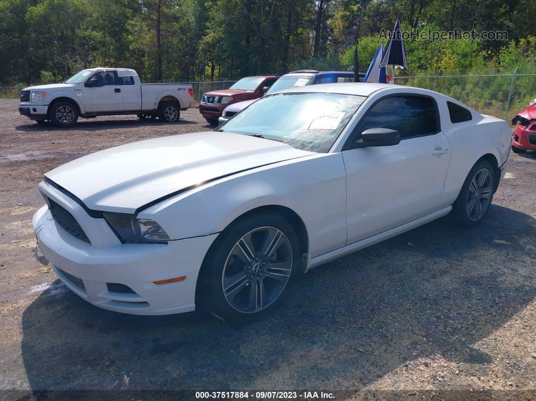 2014 Ford Mustang V6 Белый vin: 1ZVBP8AM2E5298045