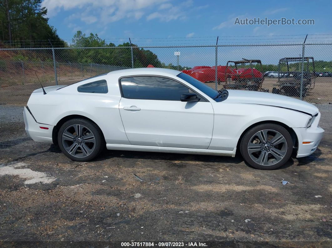 2014 Ford Mustang V6 Белый vin: 1ZVBP8AM2E5298045