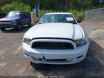 2014 Ford Mustang V6 White vin: 1ZVBP8AM2E5298045