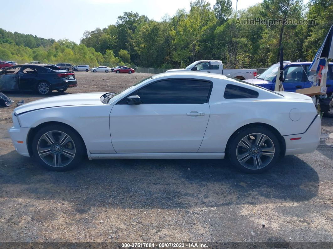 2014 Ford Mustang V6 Белый vin: 1ZVBP8AM2E5298045