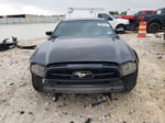 2014 Ford Mustang  Black vin: 1ZVBP8AM2E5324840