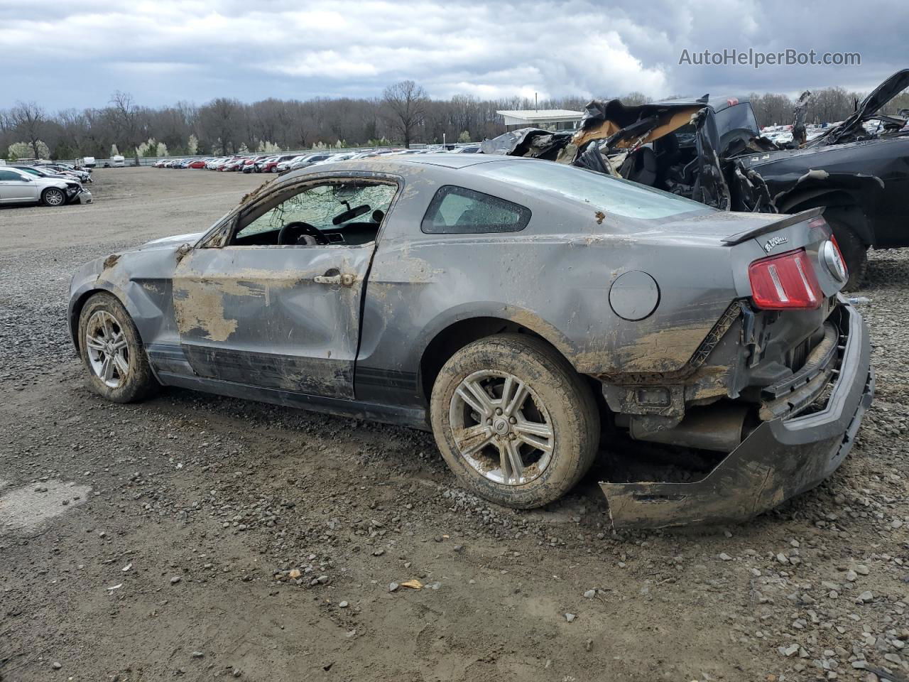 2011 Ford Mustang  Gray vin: 1ZVBP8AM3B5115537