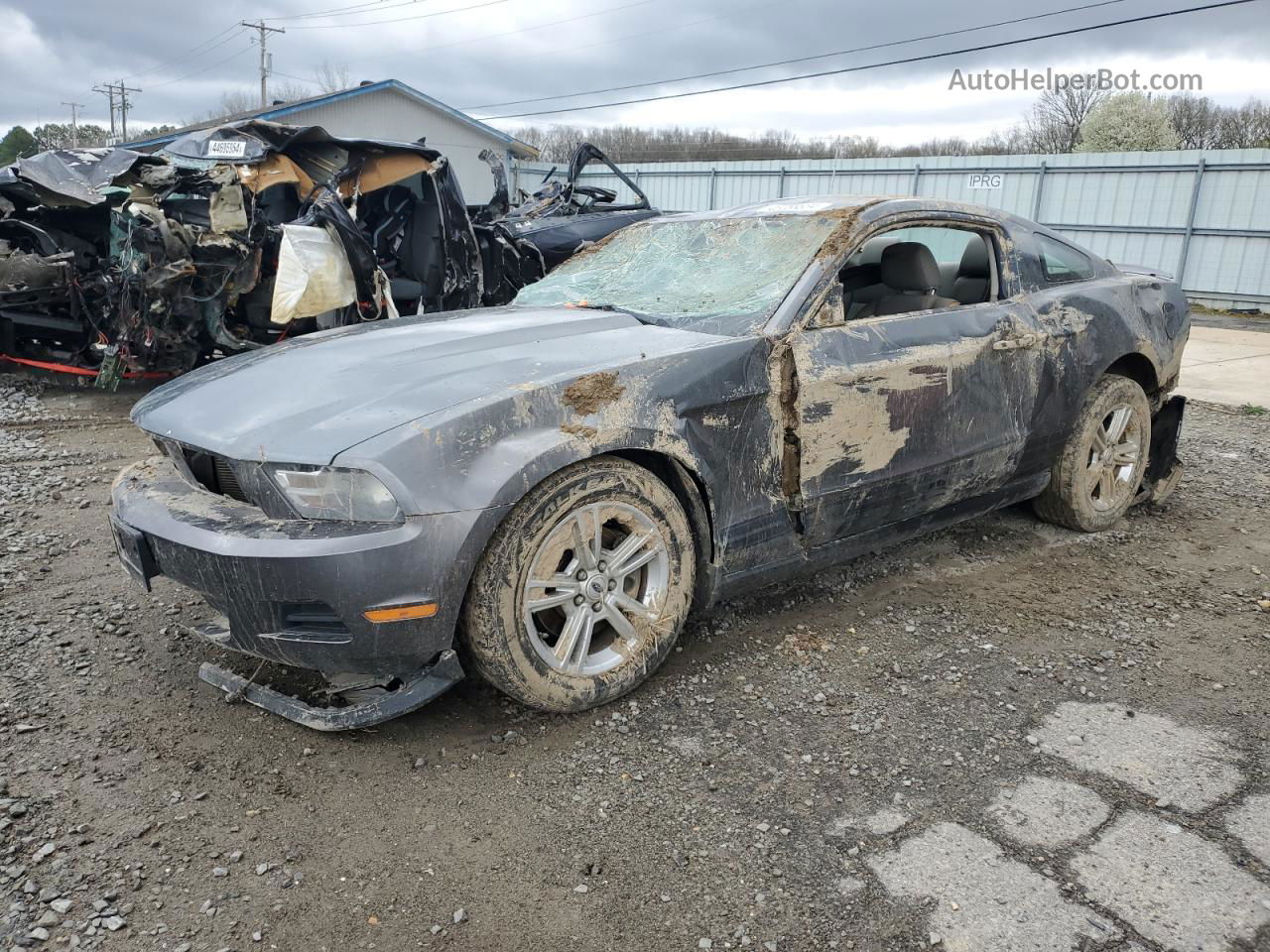 2011 Ford Mustang  Gray vin: 1ZVBP8AM3B5115537