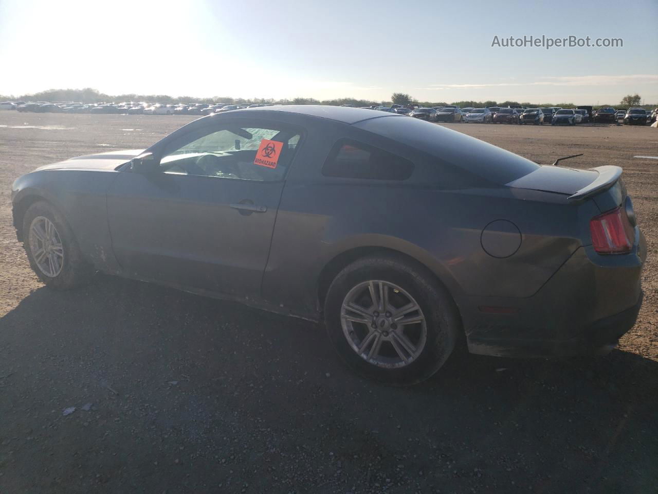 2011 Ford Mustang  Charcoal vin: 1ZVBP8AM3B5131348