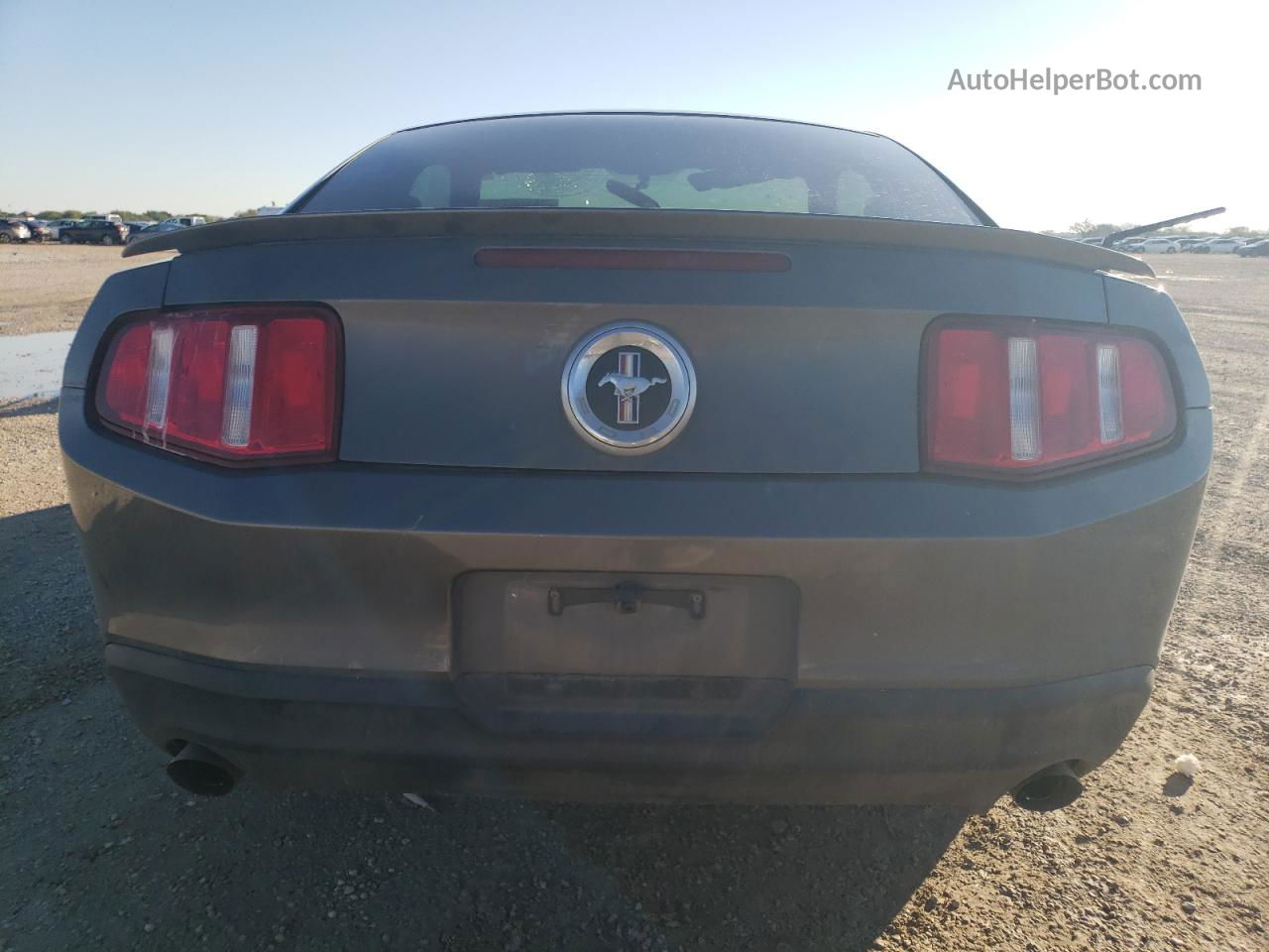 2011 Ford Mustang  Charcoal vin: 1ZVBP8AM3B5131348