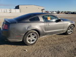 2011 Ford Mustang  Charcoal vin: 1ZVBP8AM3B5131348