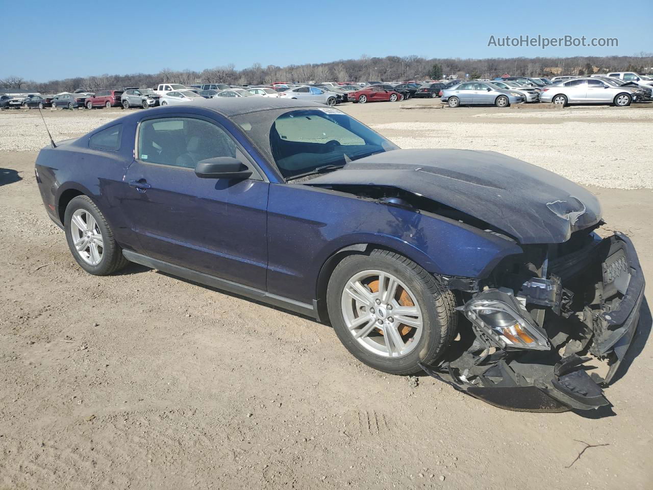 2011 Ford Mustang  Синий vin: 1ZVBP8AM3B5133875