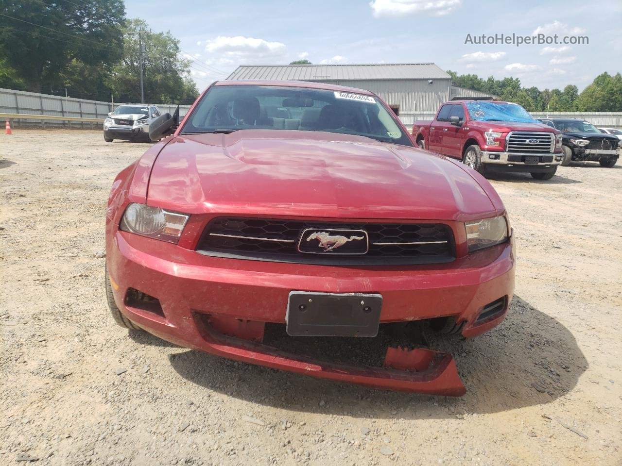 2011 Ford Mustang  Red vin: 1ZVBP8AM3B5135805