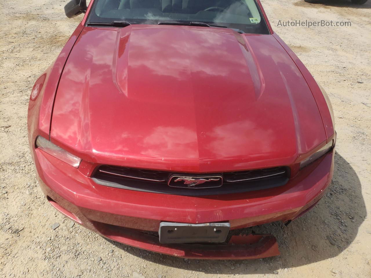 2011 Ford Mustang  Red vin: 1ZVBP8AM3B5135805