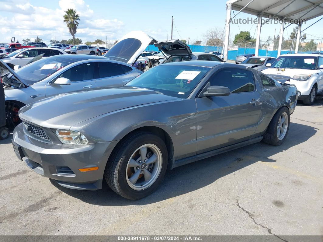 2011 Ford Mustang V6 Серый vin: 1ZVBP8AM3B5138185