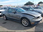 2011 Ford Mustang V6 Premium Gray vin: 1ZVBP8AM3B5142222