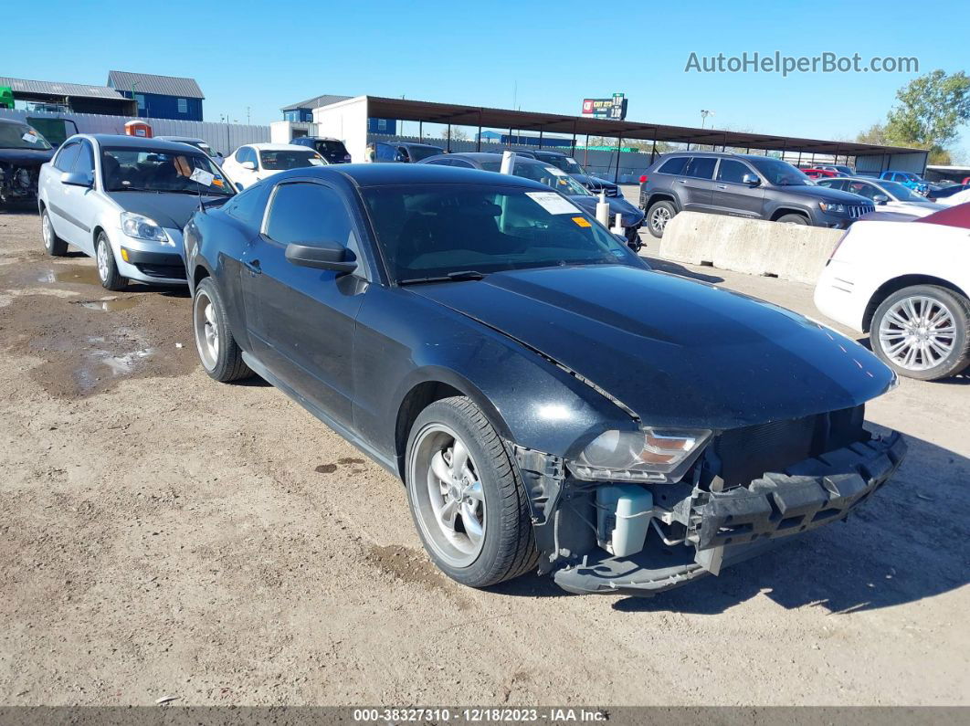 2011 Ford Mustang V6 Black vin: 1ZVBP8AM3B5160302