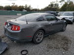 2011 Ford Mustang  Silver vin: 1ZVBP8AM3B5166245