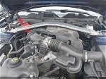 2011 Ford Mustang V6 Premium Blue vin: 1ZVBP8AM3B5167170
