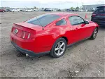 2011 Ford Mustang V6 Красный vin: 1ZVBP8AM3B5168691