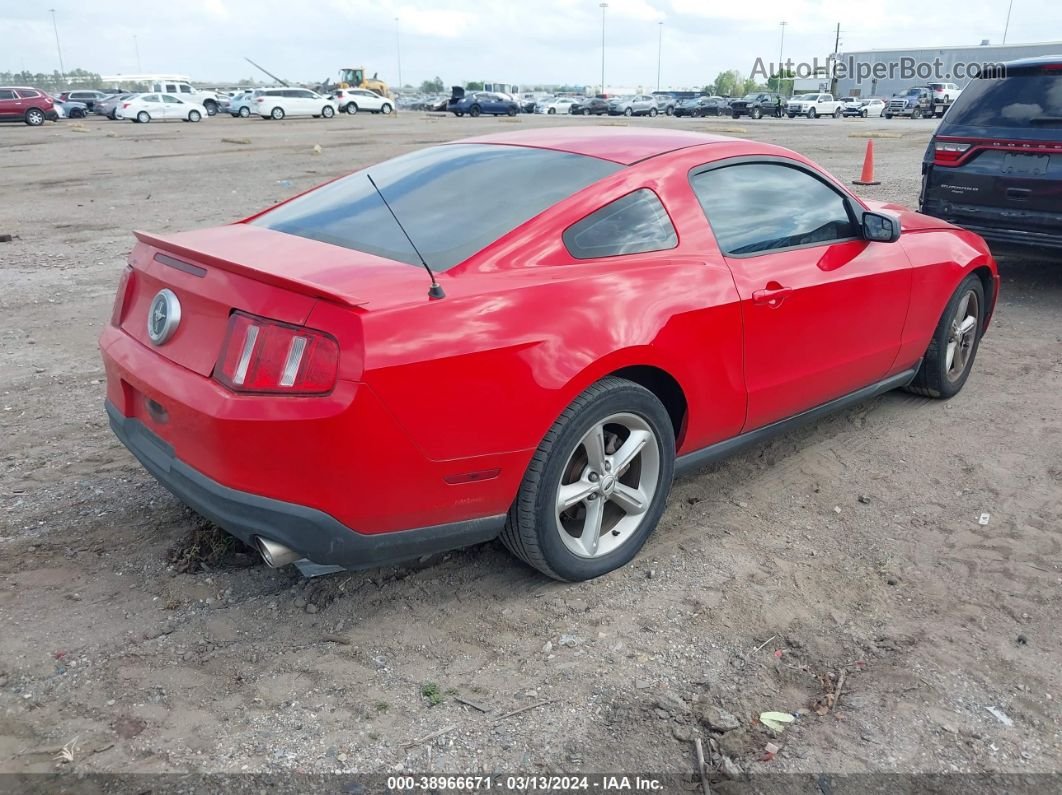 2011 Ford Mustang V6 Red vin: 1ZVBP8AM3B5168691