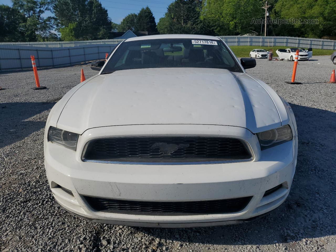 2014 Ford Mustang  Белый vin: 1ZVBP8AM3E5290178