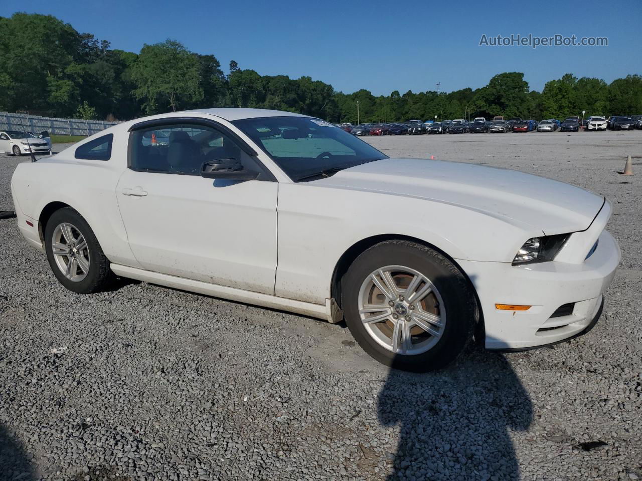 2014 Ford Mustang  Белый vin: 1ZVBP8AM3E5290178