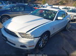 2011 Ford Mustang V6 Premium Белый vin: 1ZVBP8AM4B5103395