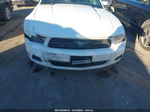 2011 Ford Mustang V6 Premium White vin: 1ZVBP8AM4B5103395