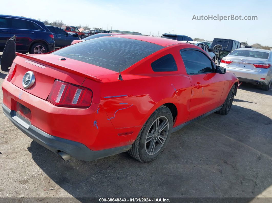 2011 Ford Mustang V6 Premium Красный vin: 1ZVBP8AM4B5109682