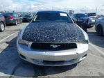 2011 Ford Mustang V6 Silver vin: 1ZVBP8AM4B5115630