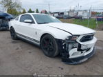 2011 Ford Mustang V6 White vin: 1ZVBP8AM4B5149616