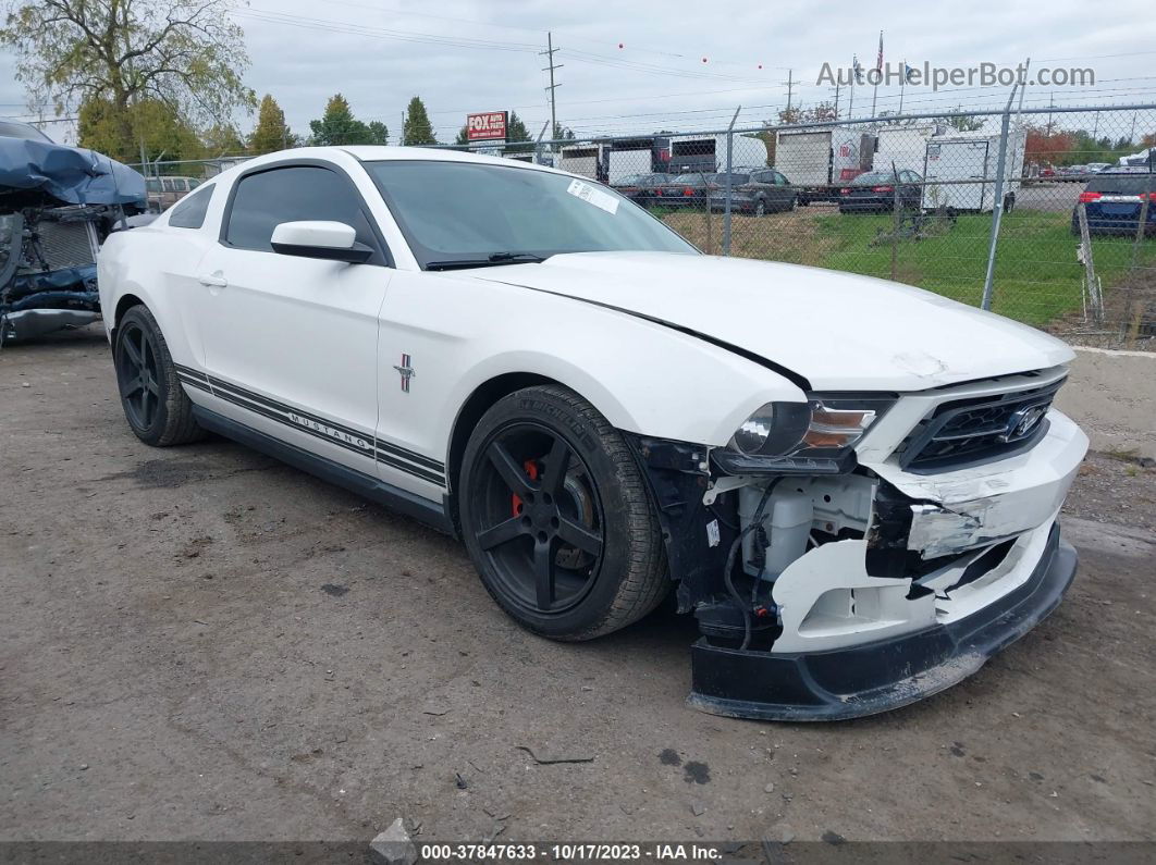 2011 Ford Mustang V6 White vin: 1ZVBP8AM4B5149616